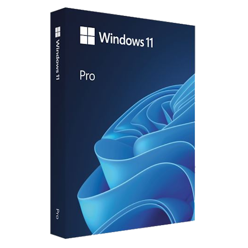 Windows 11 Professional OEM 64-Bit English 1 Pack DVD.